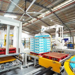 HỆ CẤP PALLET VÀ ROBOT XẾP THÙNG TỰ ĐỘNG M24053